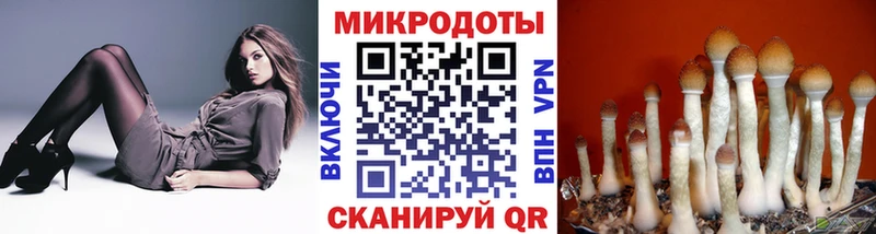 Псилоцибиновые грибы Psilocybine cubensis Бирск